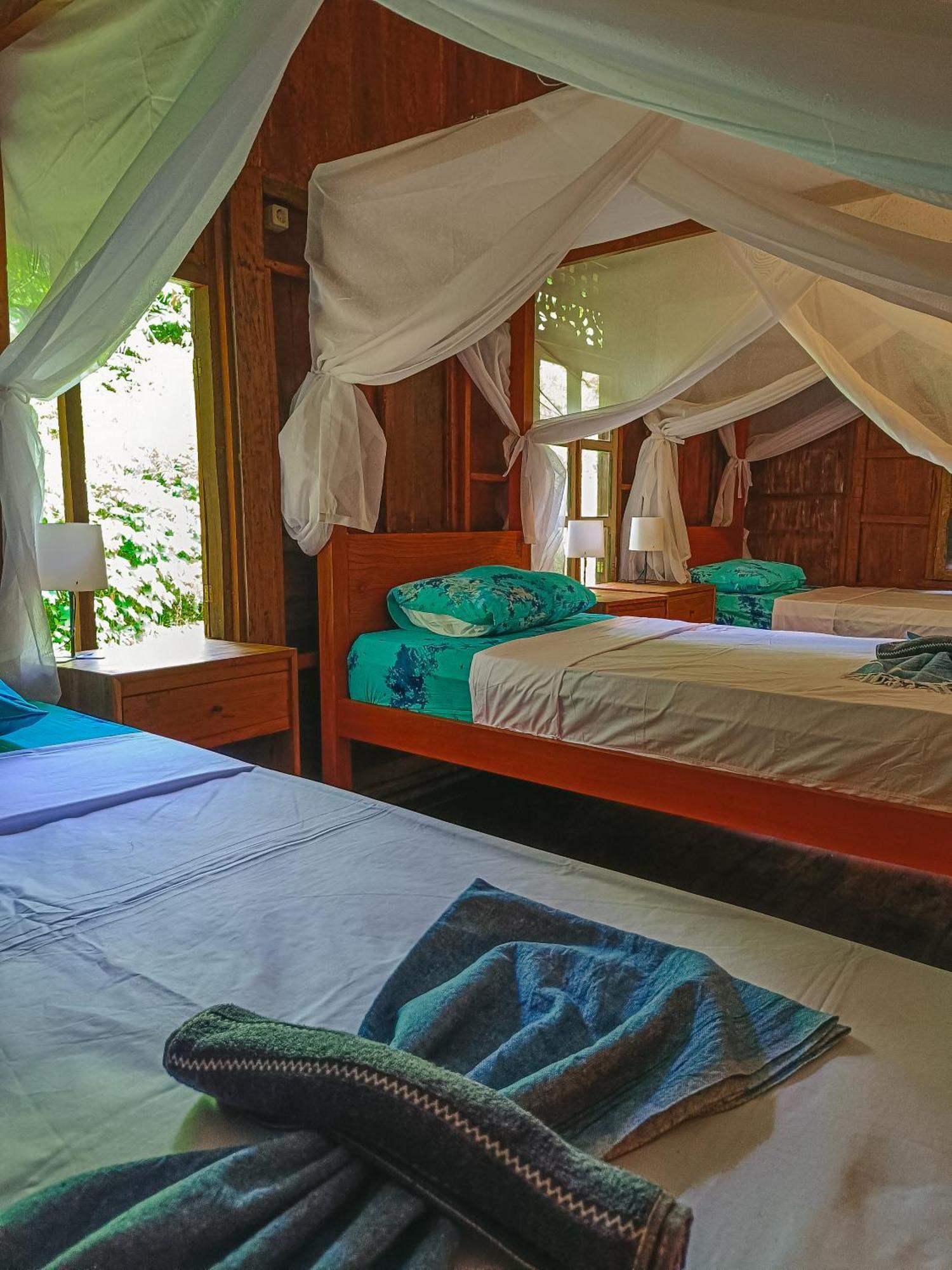 Alaya Ecolodge ペムテラン エクステリア 写真