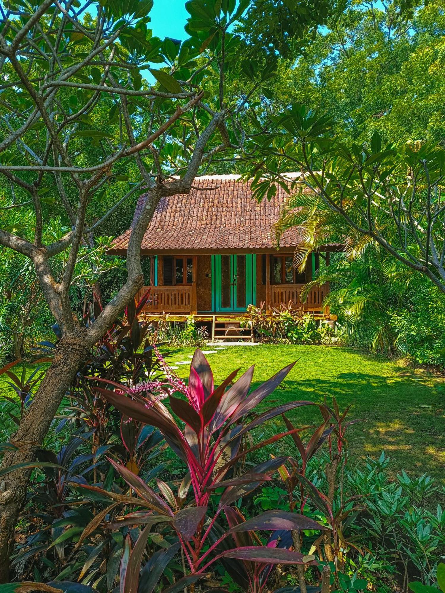Alaya Ecolodge ペムテラン エクステリア 写真