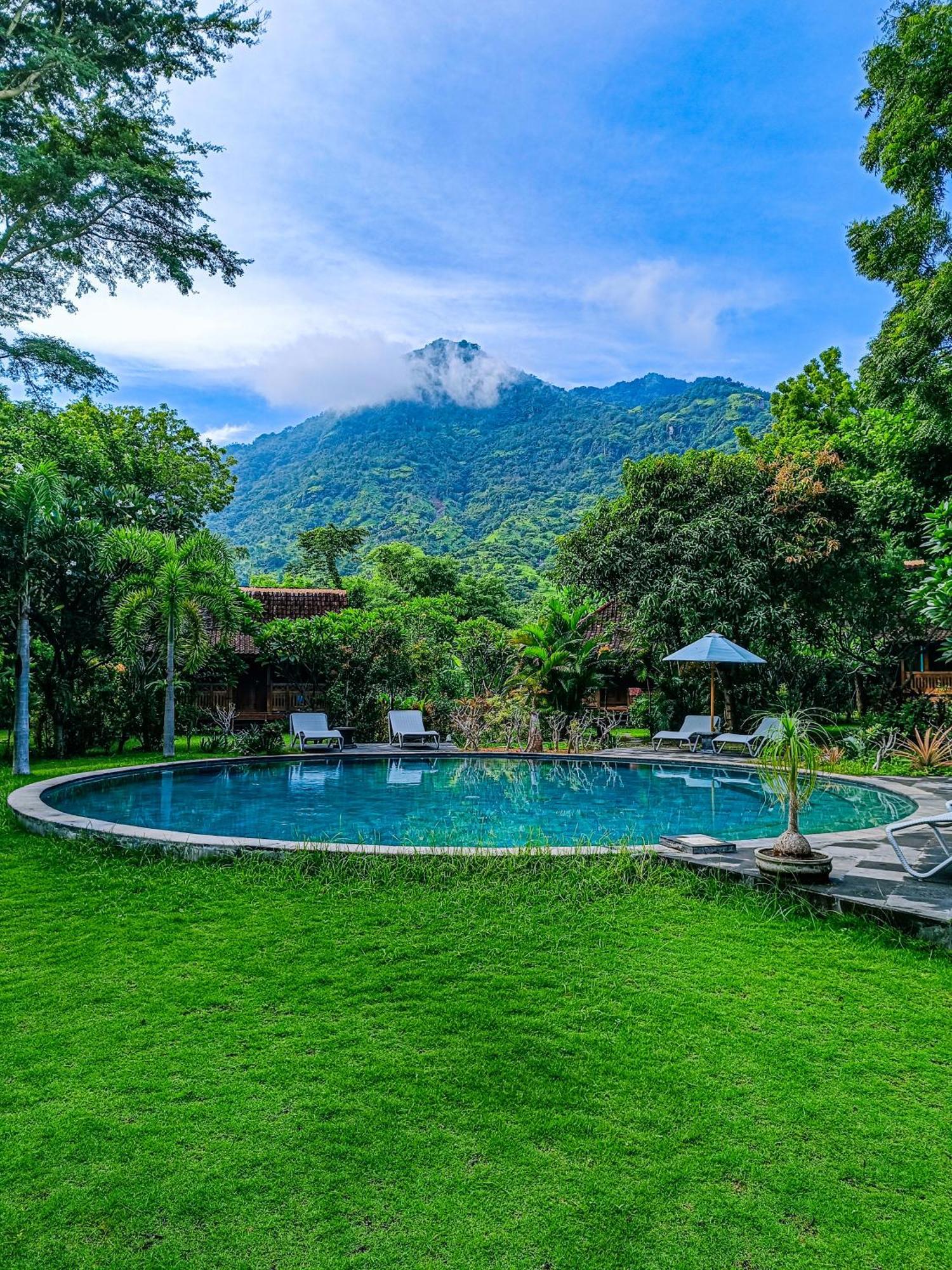 Alaya Ecolodge ペムテラン エクステリア 写真