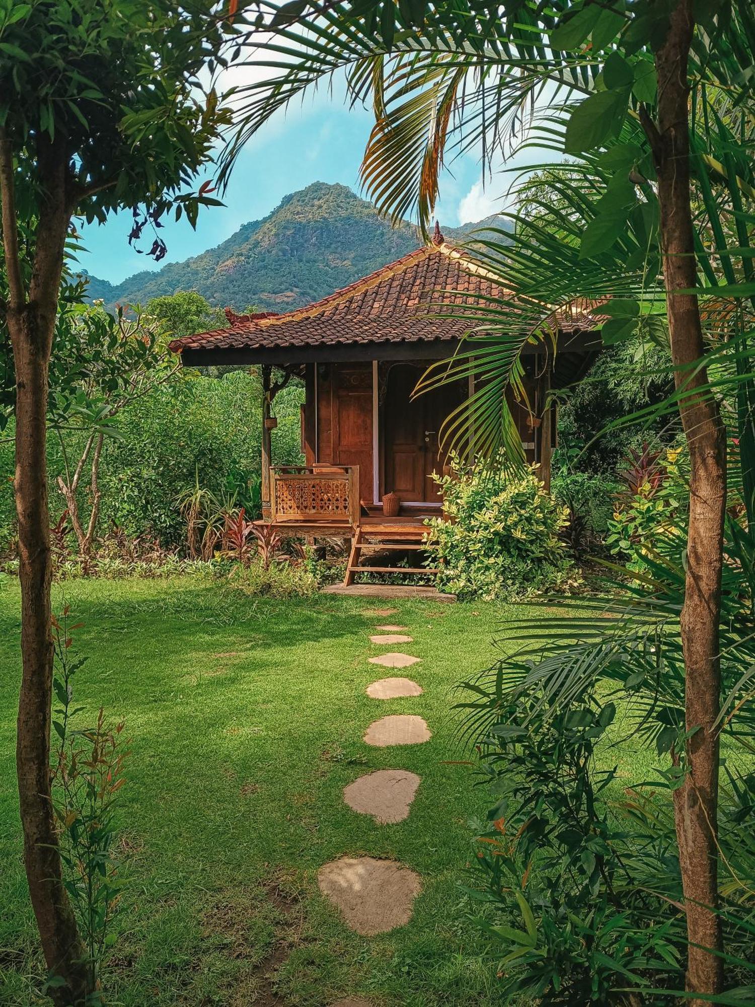 Alaya Ecolodge ペムテラン エクステリア 写真