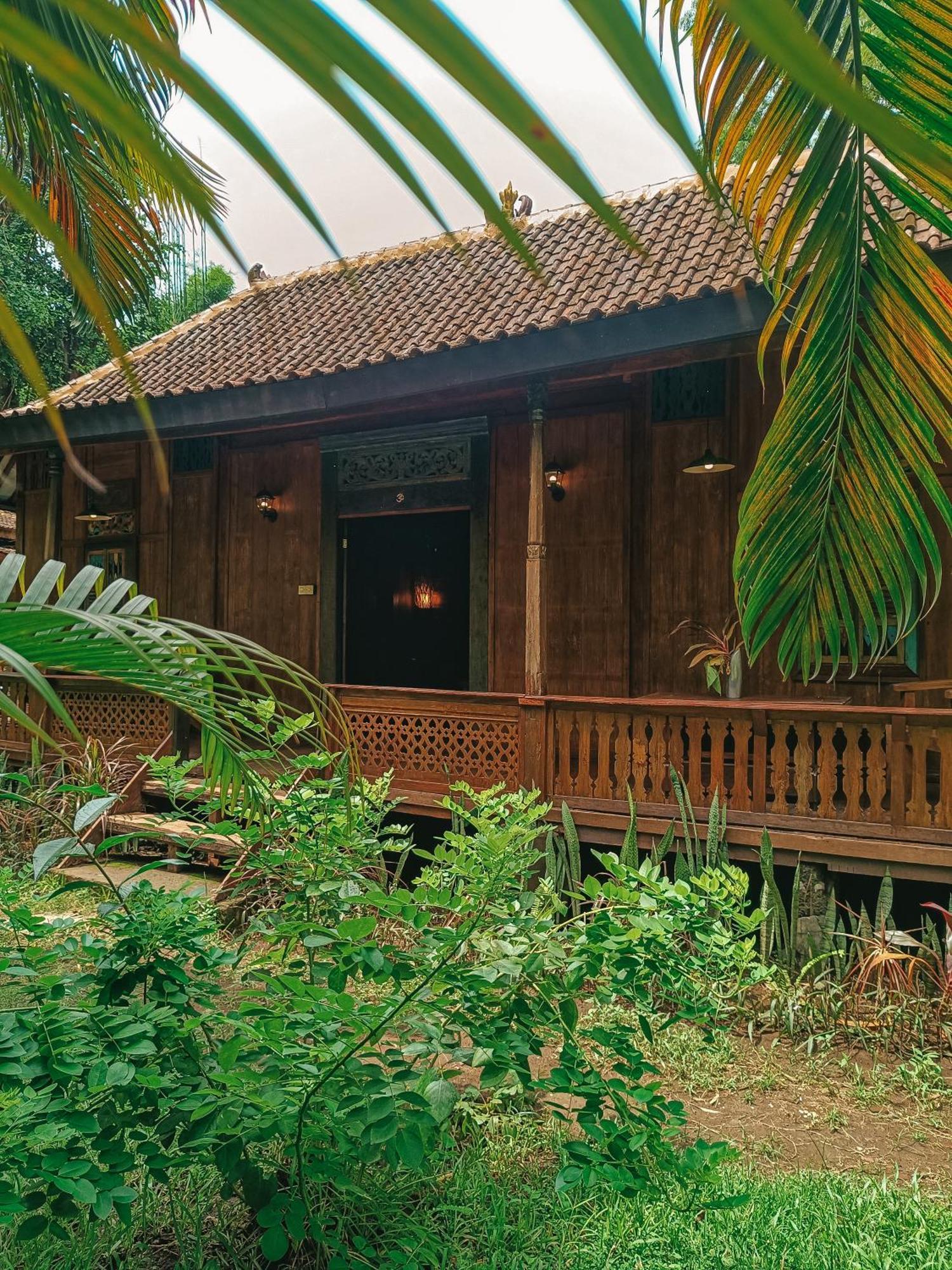 Alaya Ecolodge ペムテラン エクステリア 写真