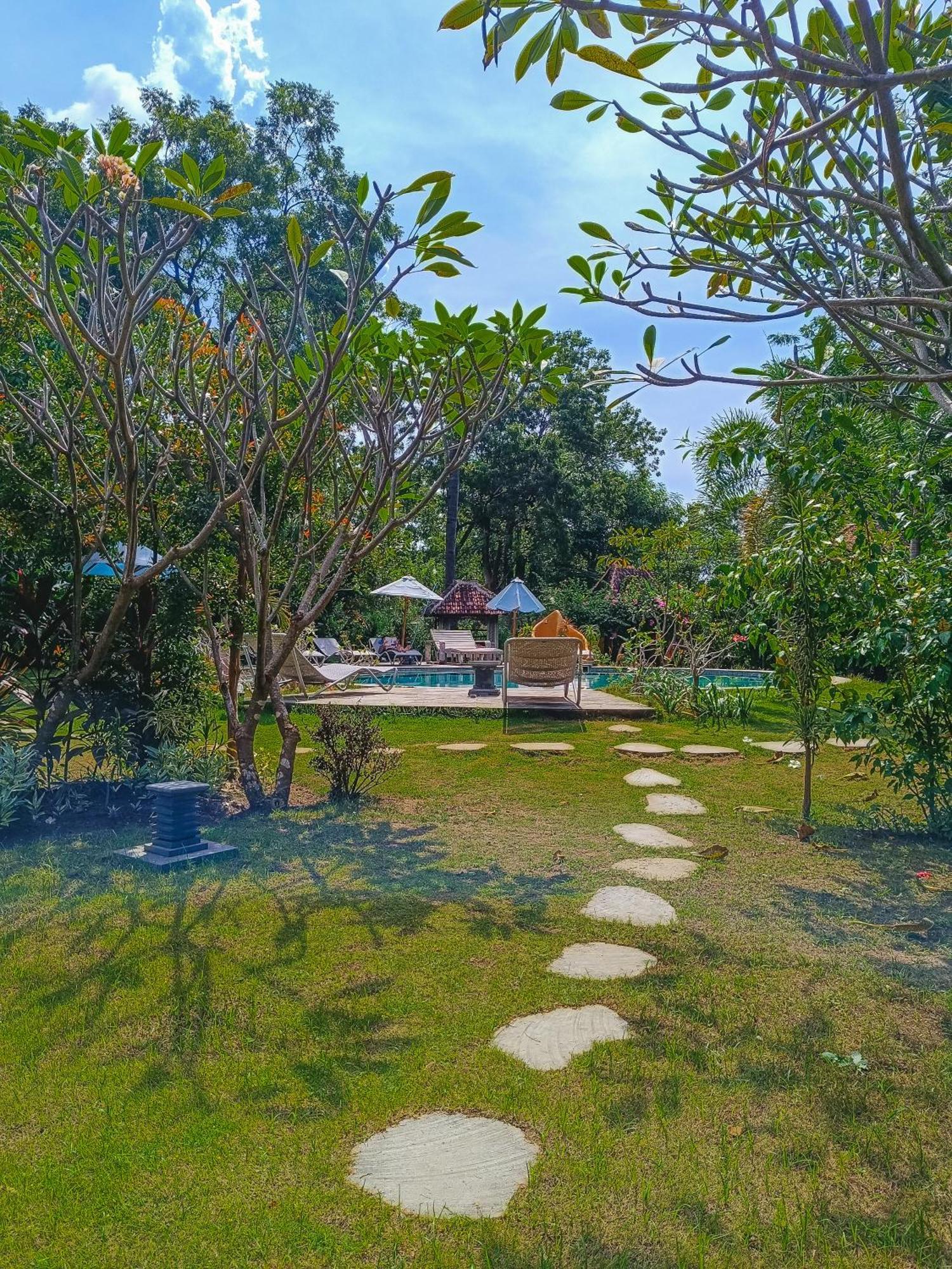 Alaya Ecolodge ペムテラン エクステリア 写真