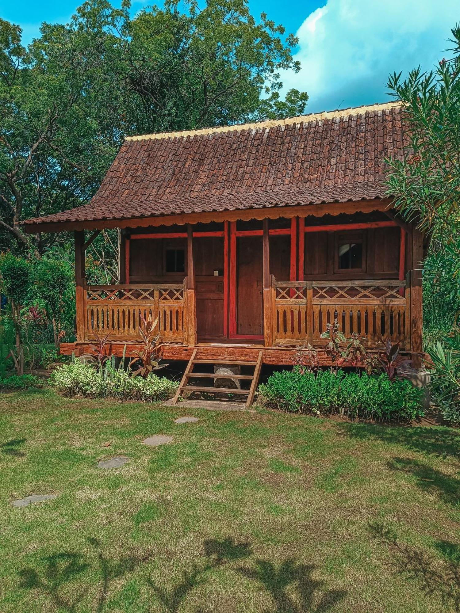 Alaya Ecolodge ペムテラン エクステリア 写真